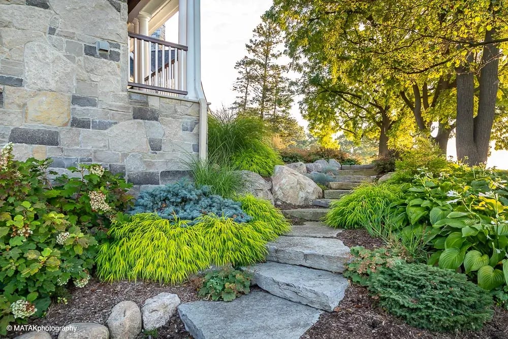 Landscape portfolio 5