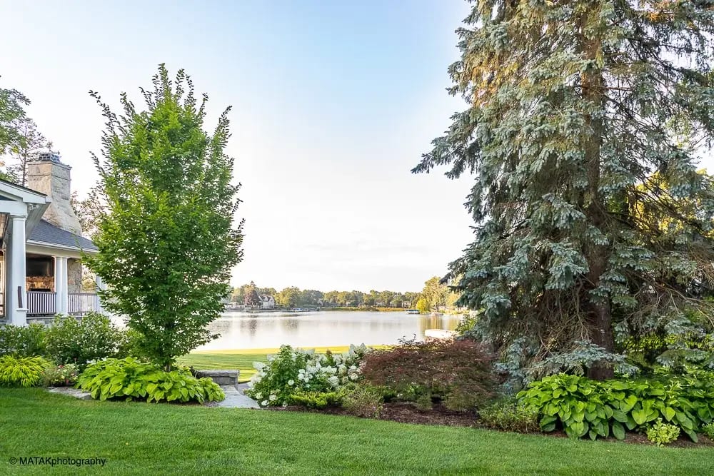 Landscape portfolio 7