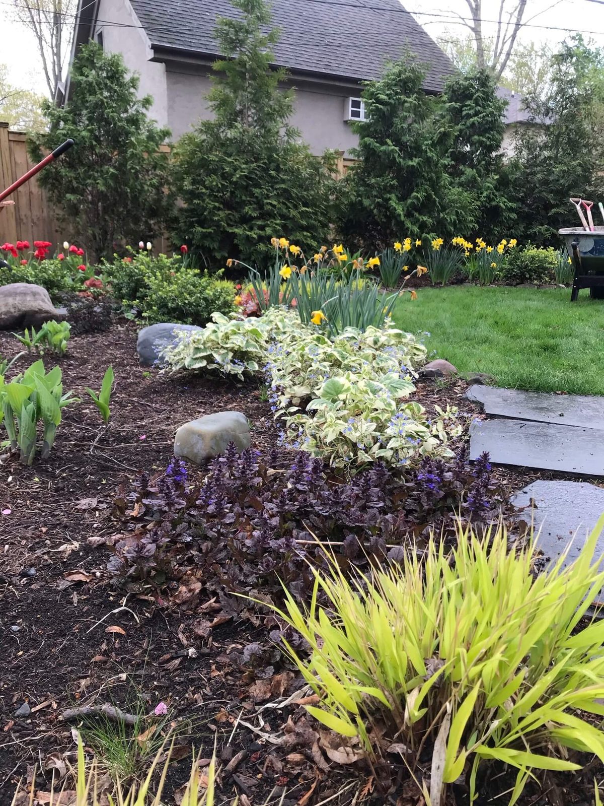 Landscape portfolio 10