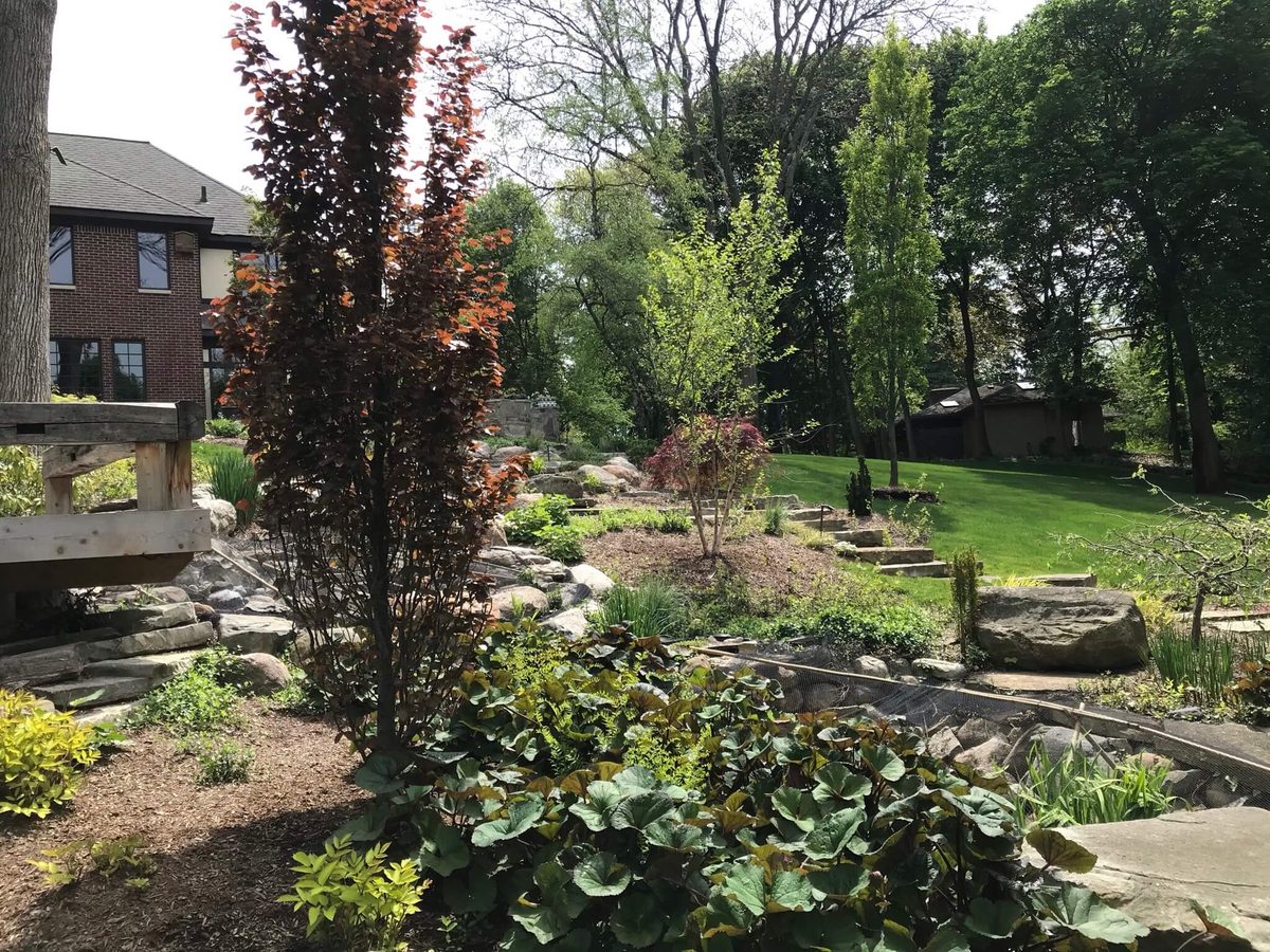 Landscape portfolio 11