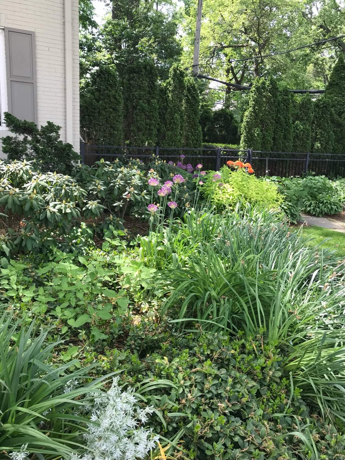 Landscape portfolio 12