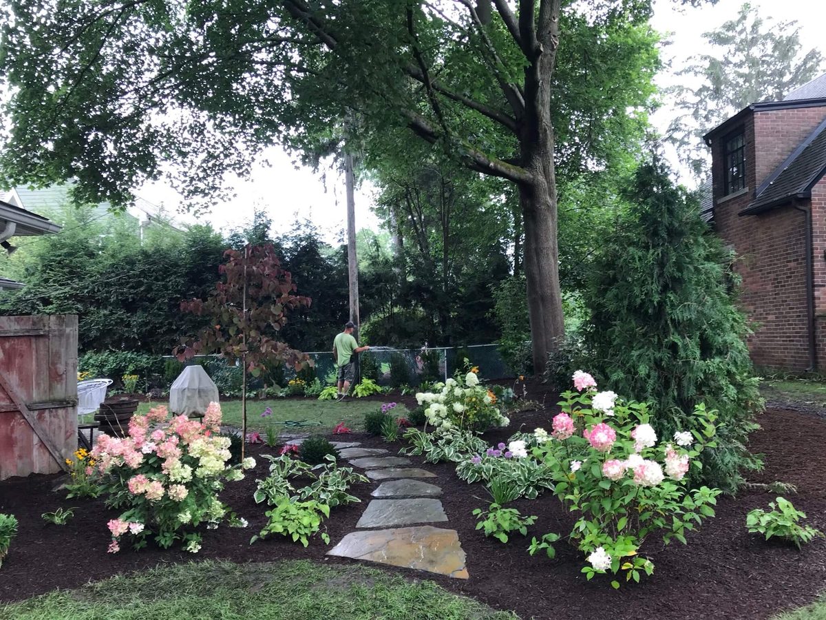 Landscape portfolio 15