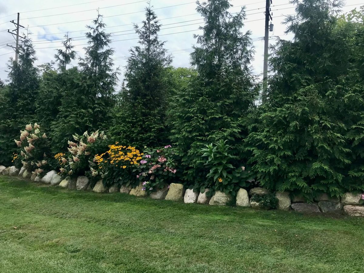 Landscape portfolio 16