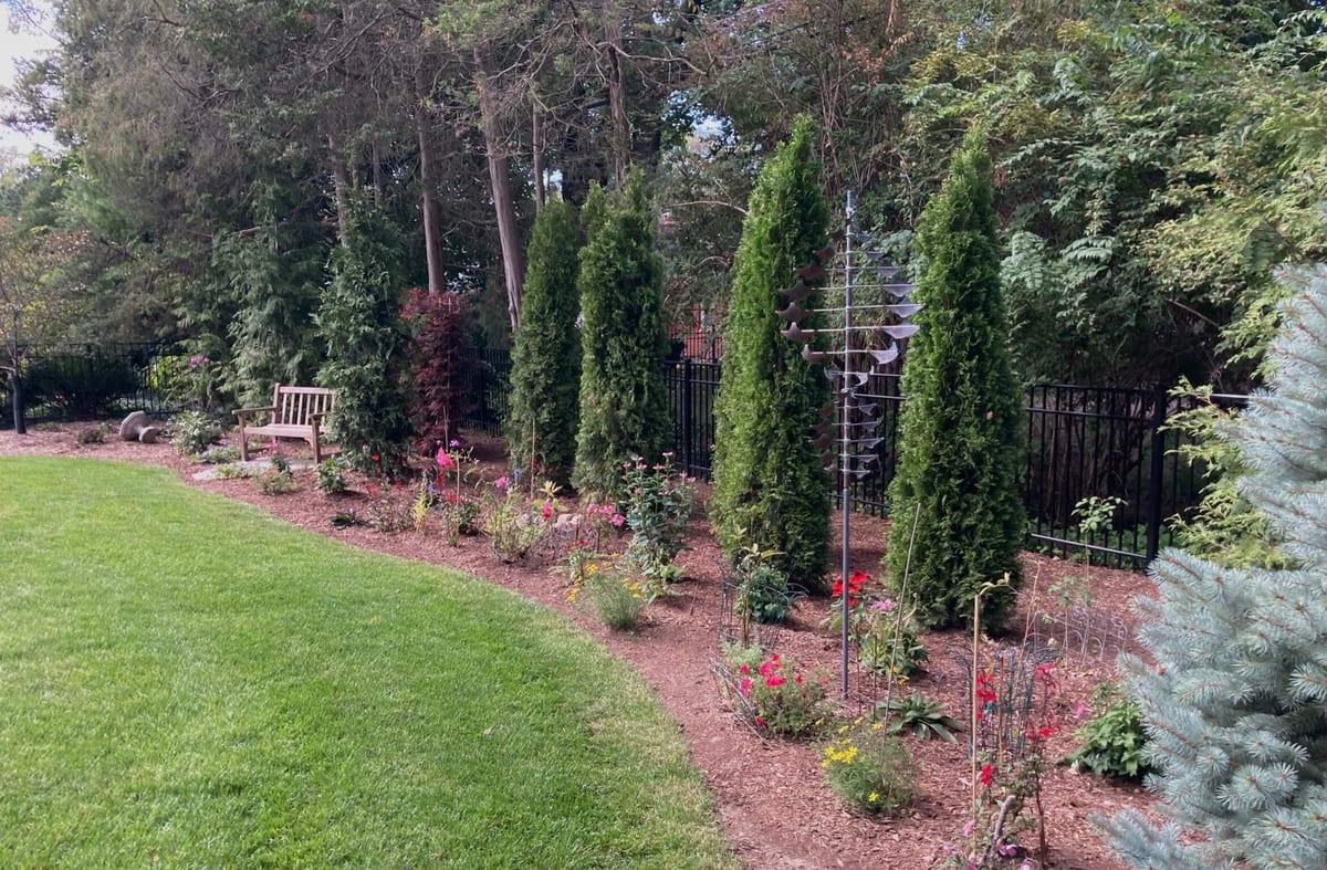 Landscape portfolio 17