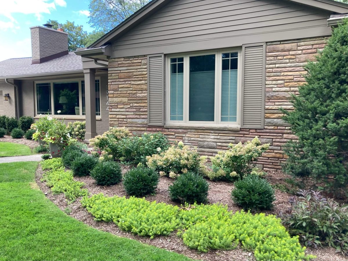 Landscape portfolio 18