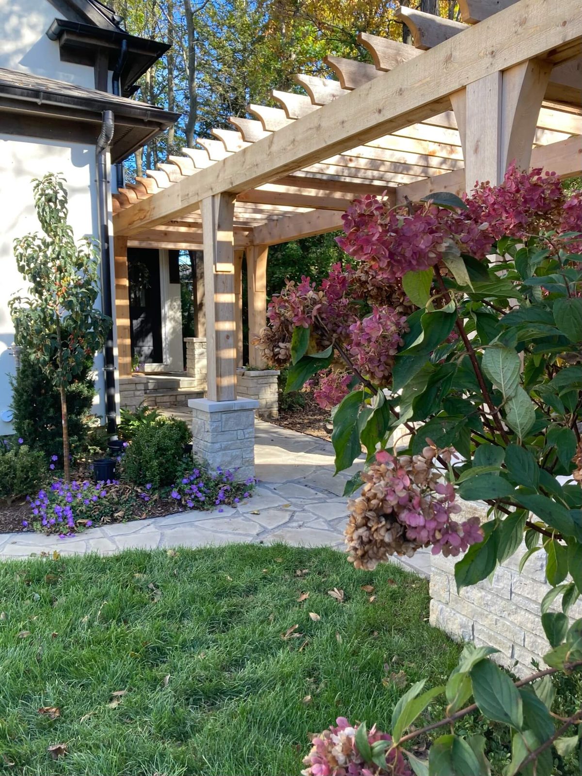 Landscape portfolio 19