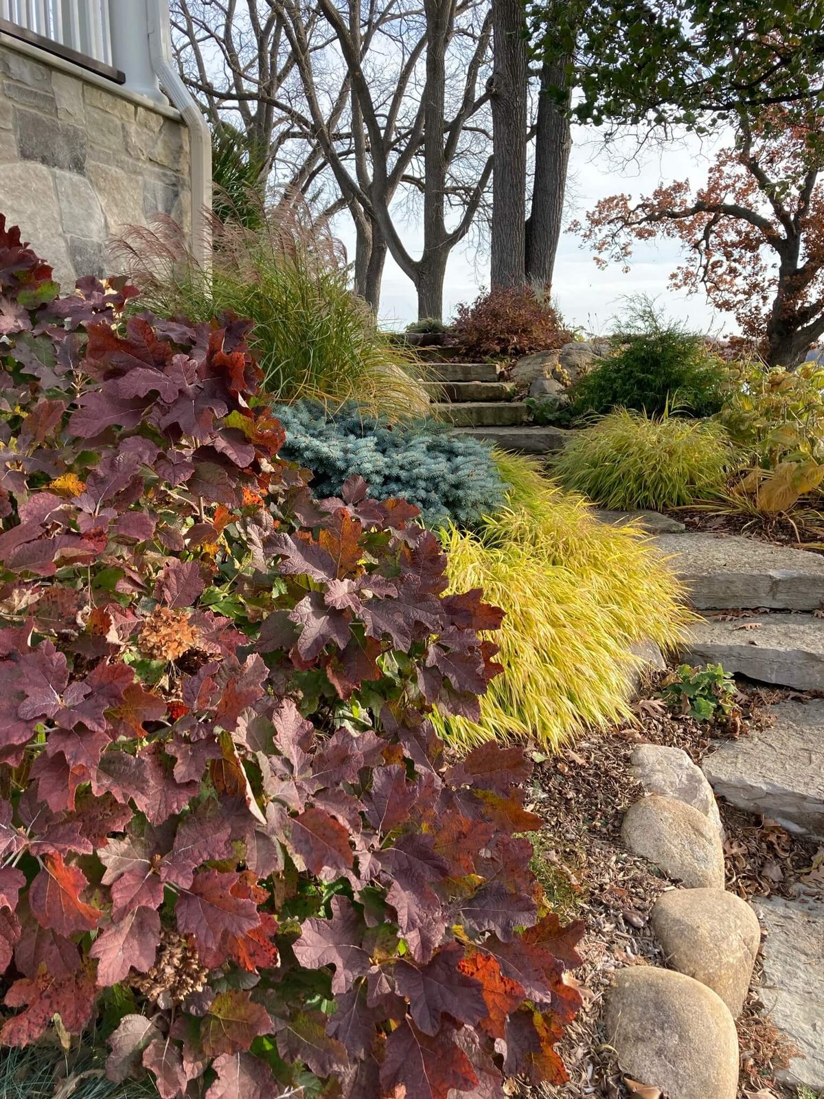 Landscape portfolio 20