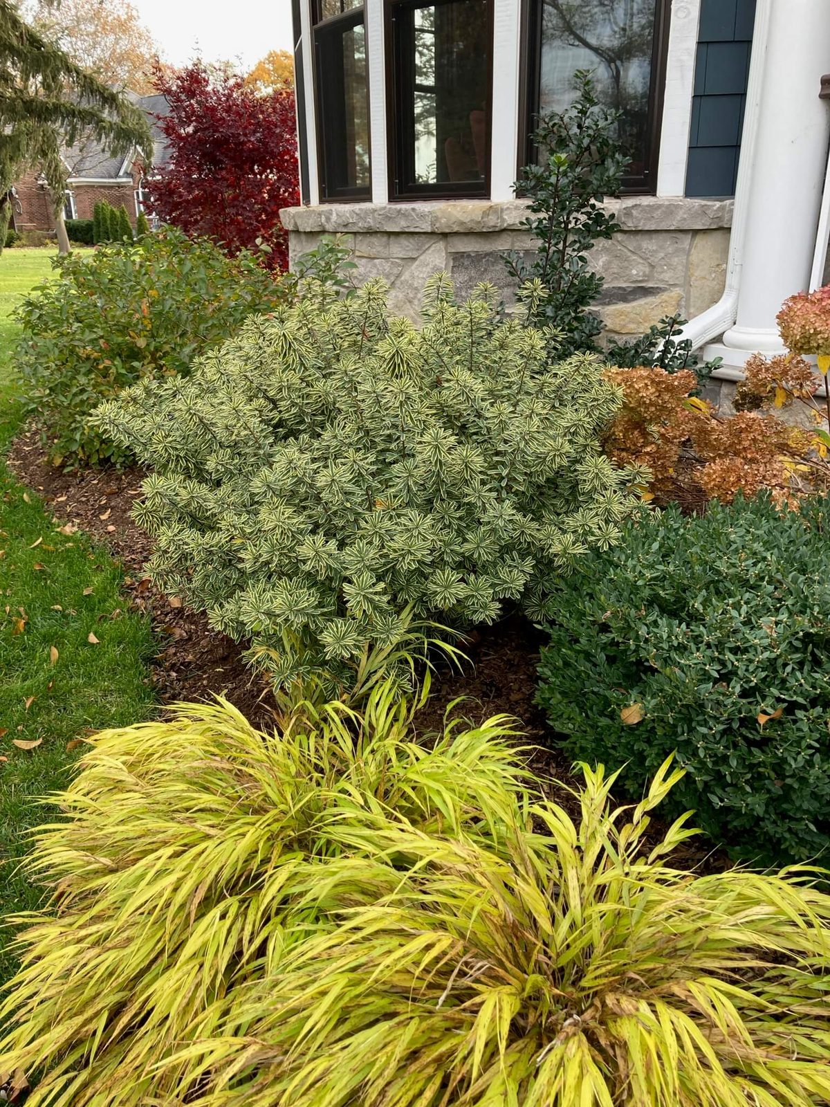 Landscape portfolio 21