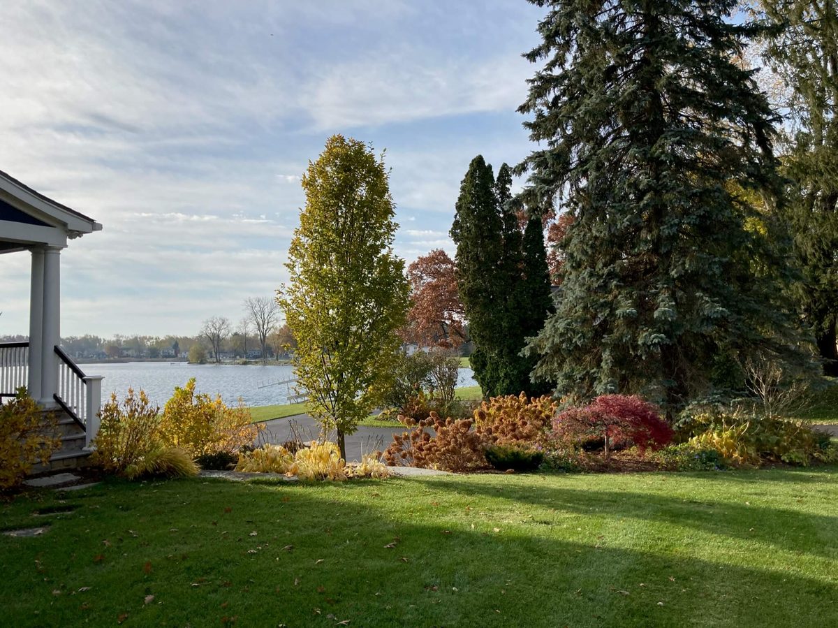 Landscape portfolio 23