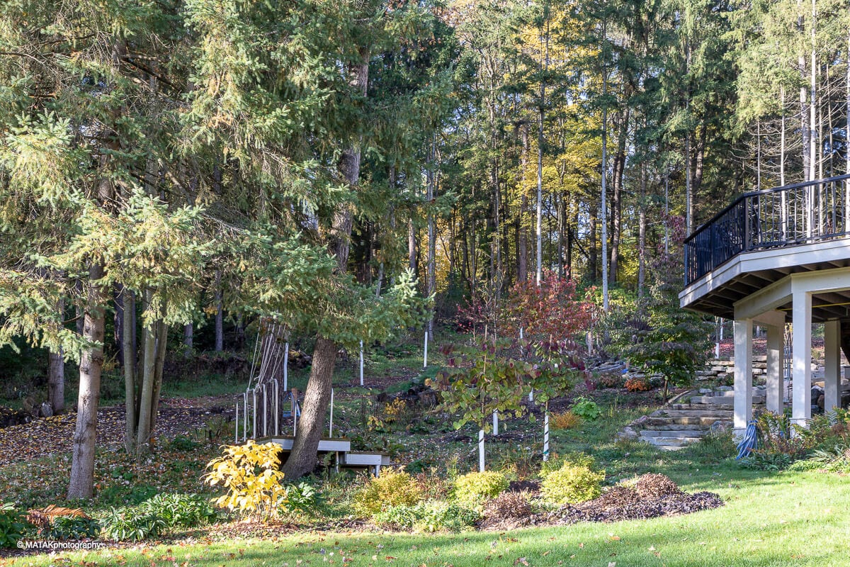 Landscape portfolio 32