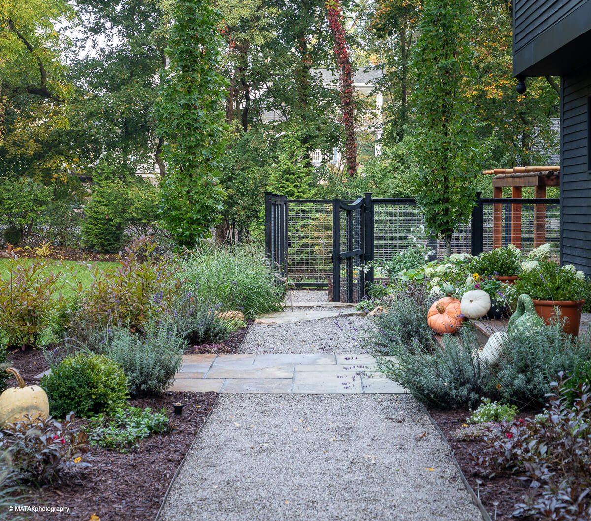 Landscape portfolio 34