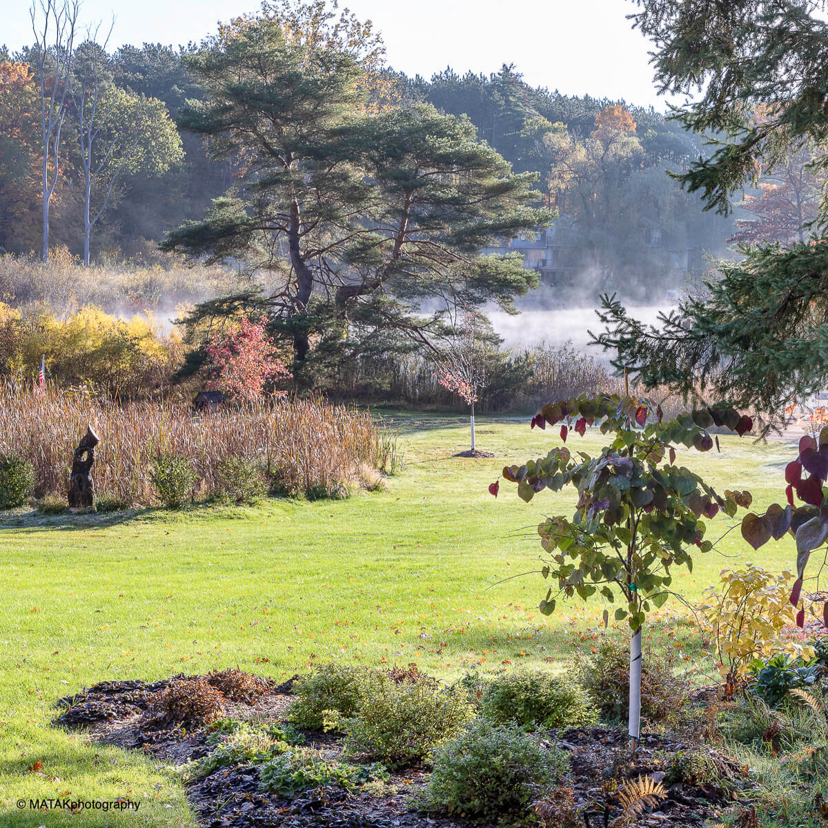 Landscape portfolio 39