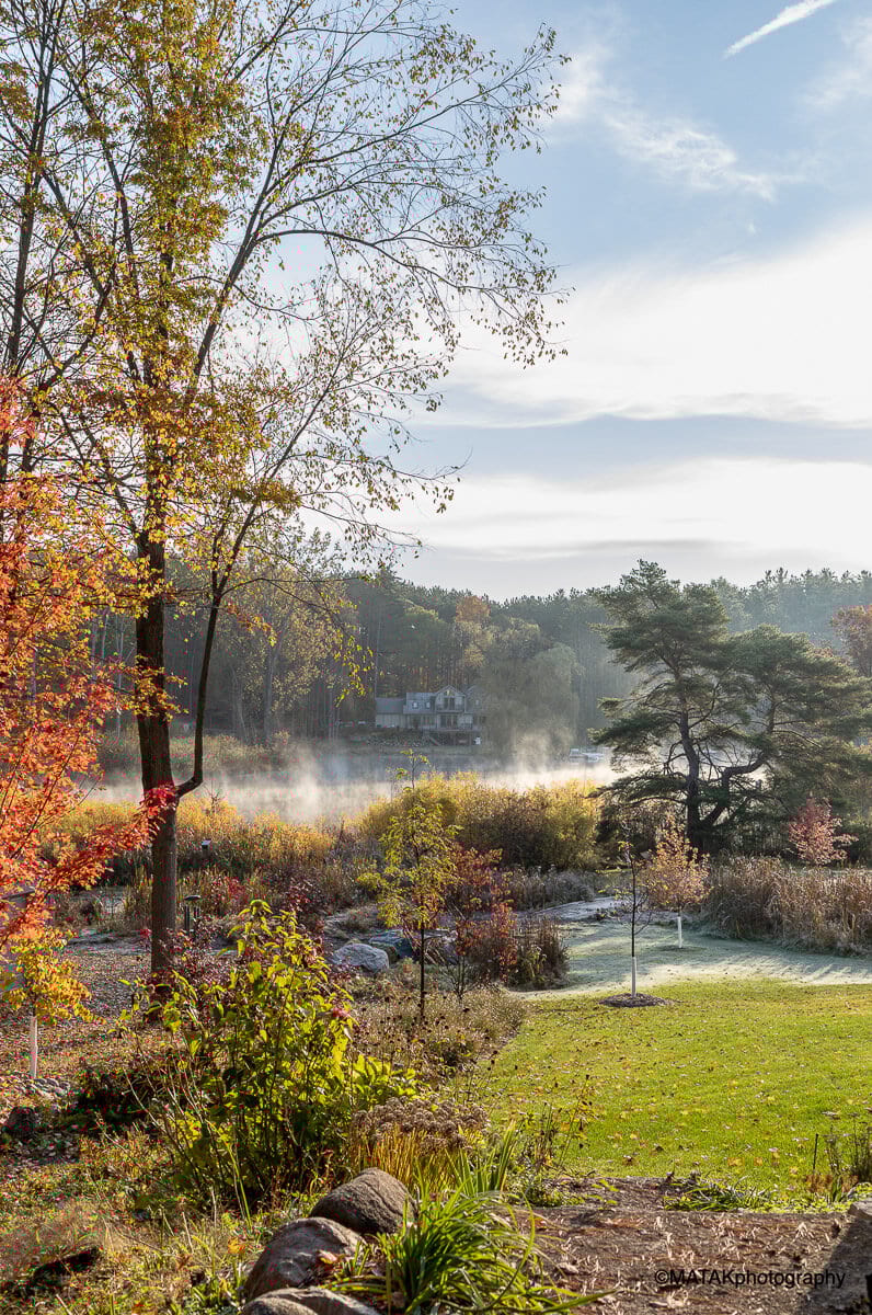 Landscape portfolio 40