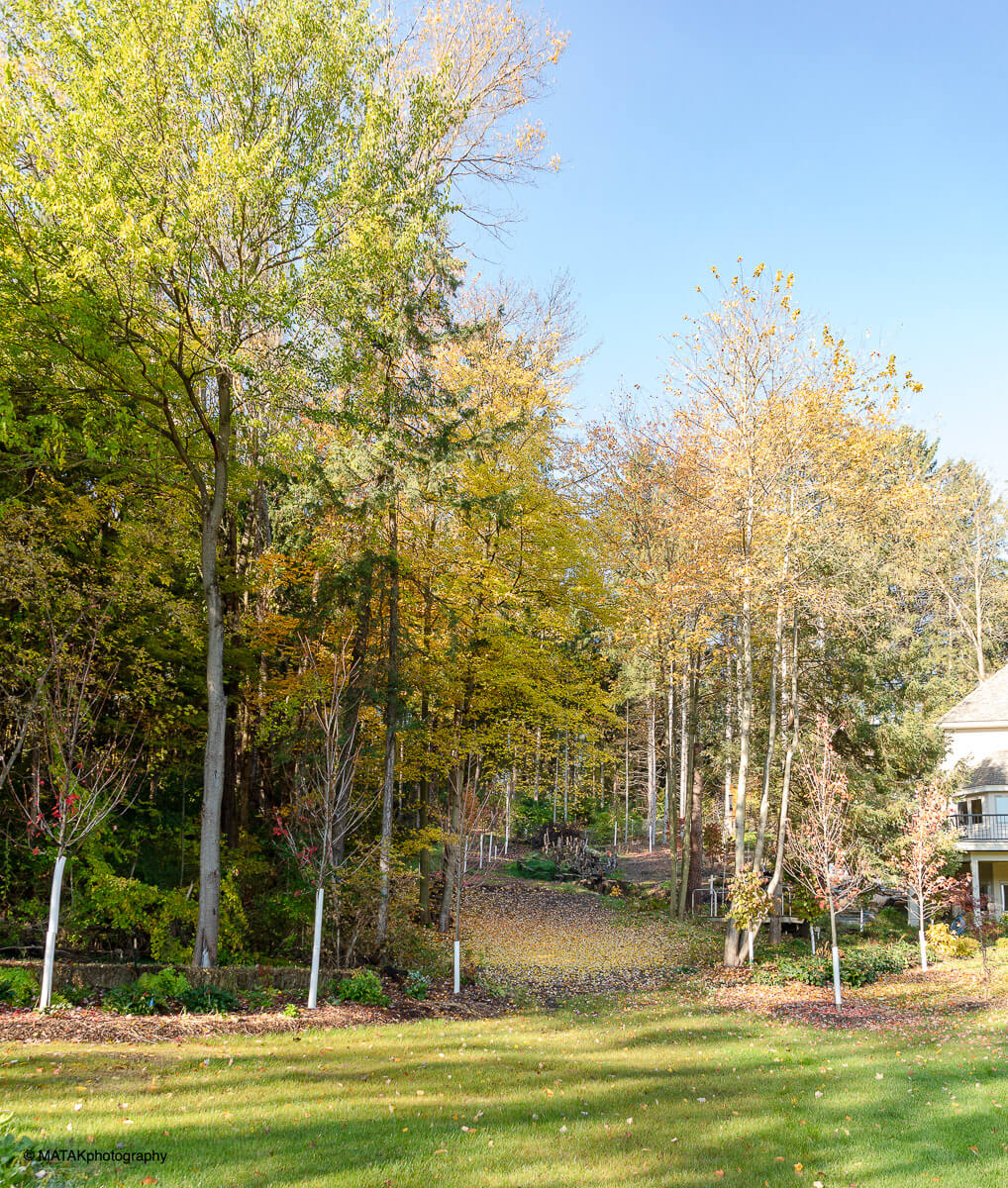 Landscape portfolio 41