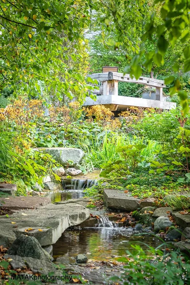 Landscape portfolio 46