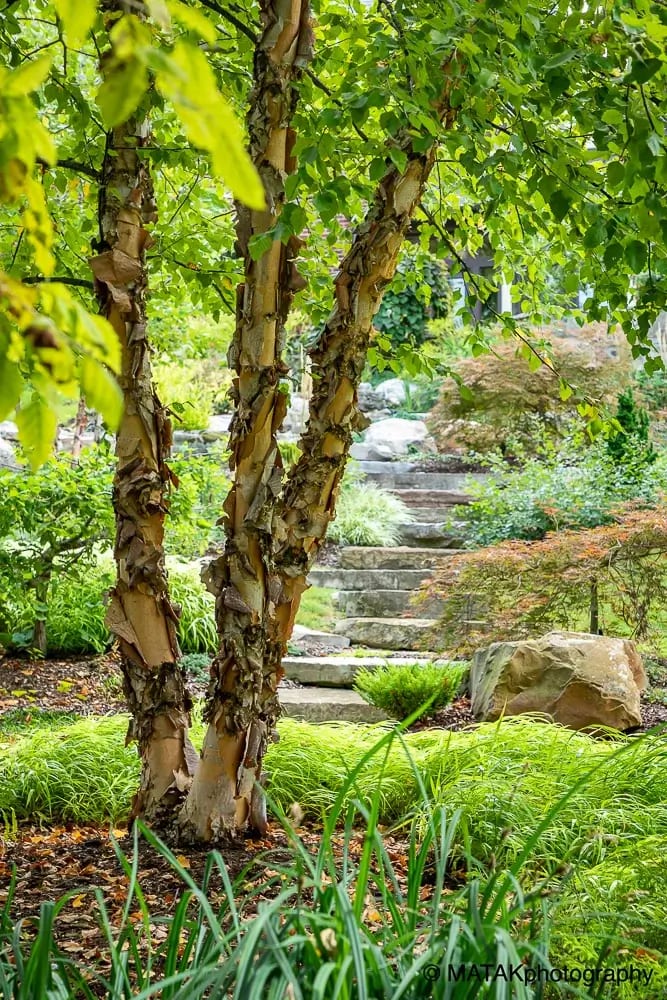 Landscape portfolio 48