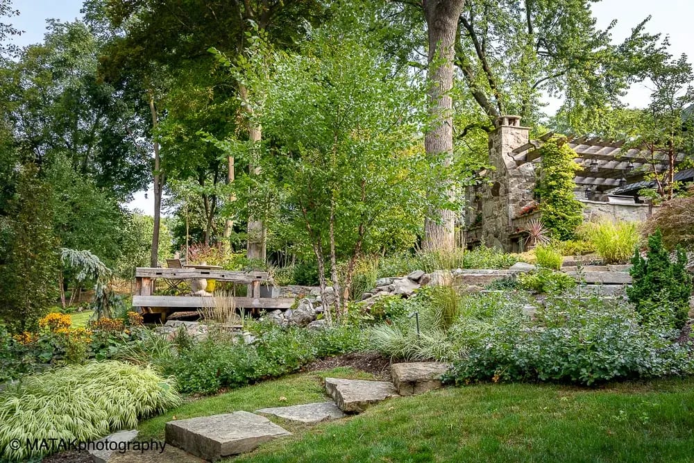 Landscape portfolio 49