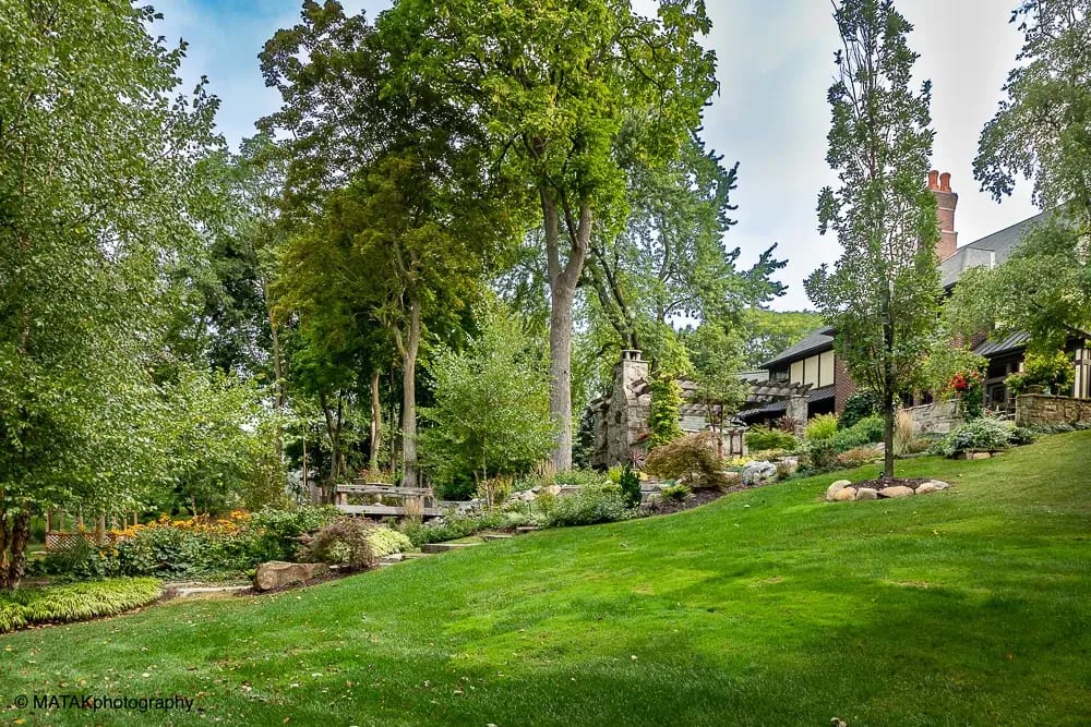 Landscape portfolio 50