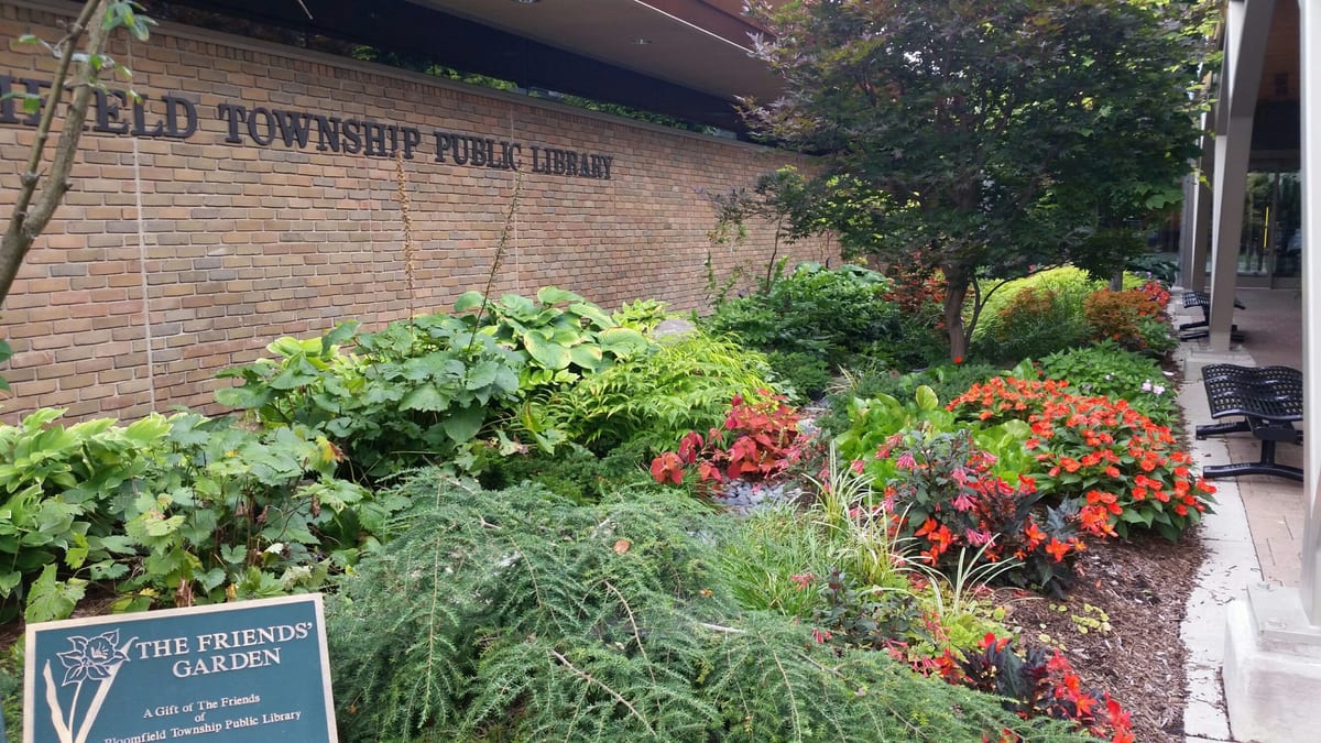 Landscape portfolio 54