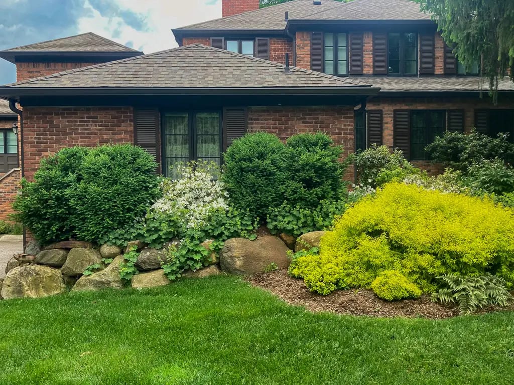 Landscape portfolio 58