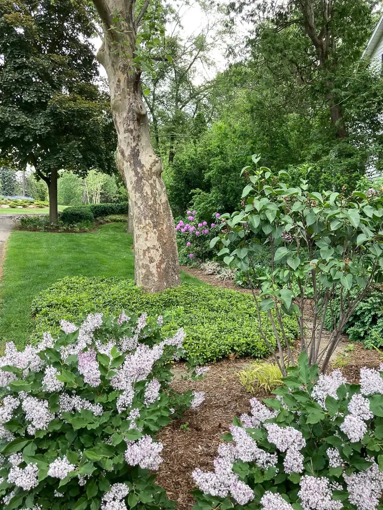 Landscape portfolio 59