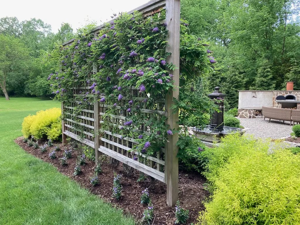 Landscape portfolio 60