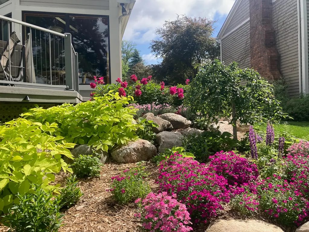 Landscape portfolio 64