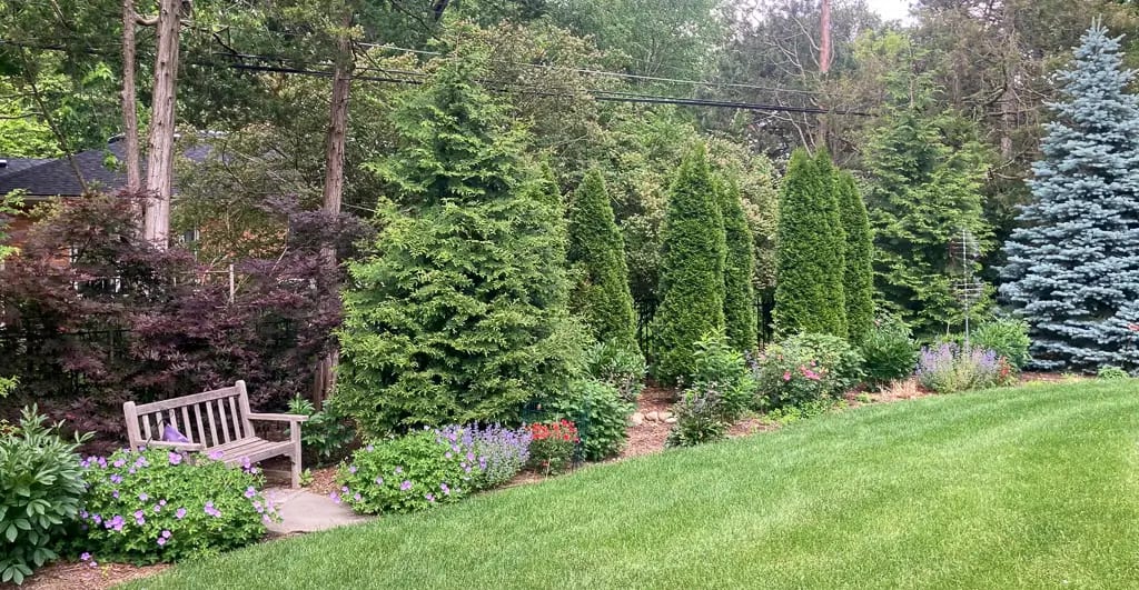 Landscape portfolio 65