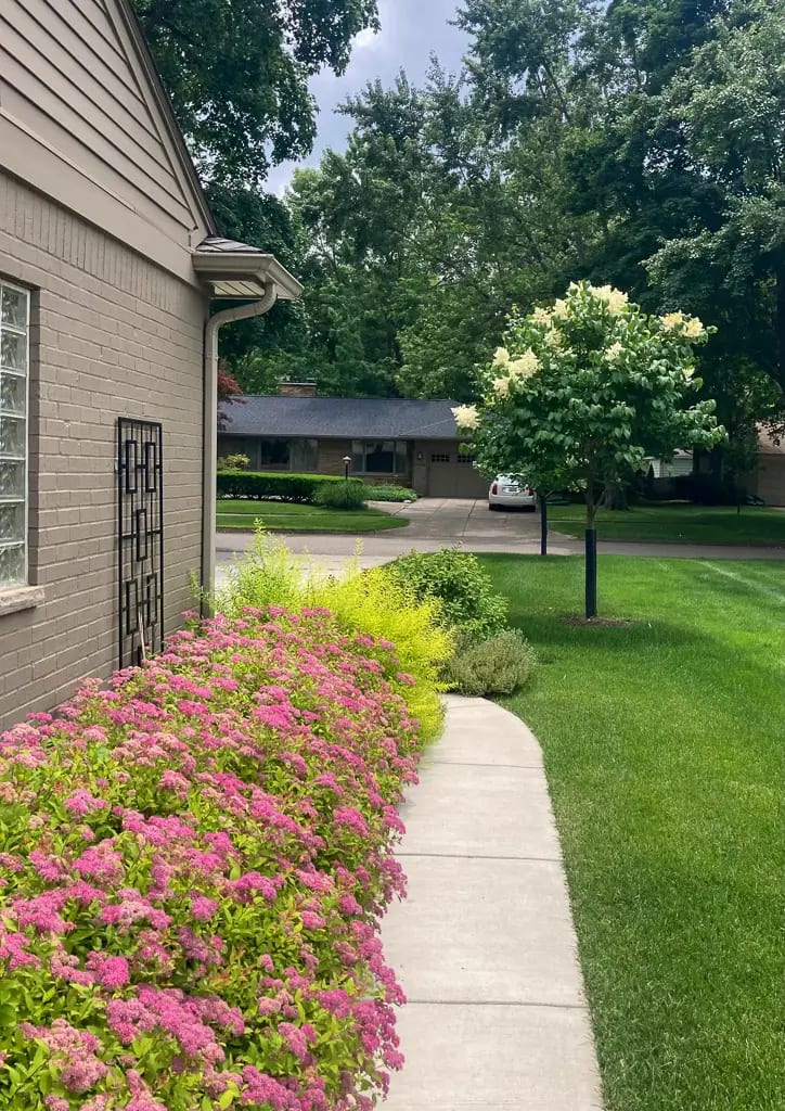 Landscape portfolio 66