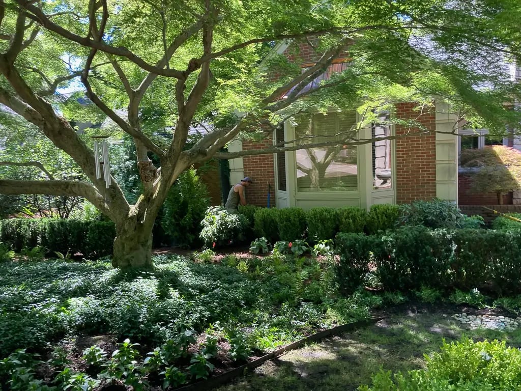 Landscape portfolio 68