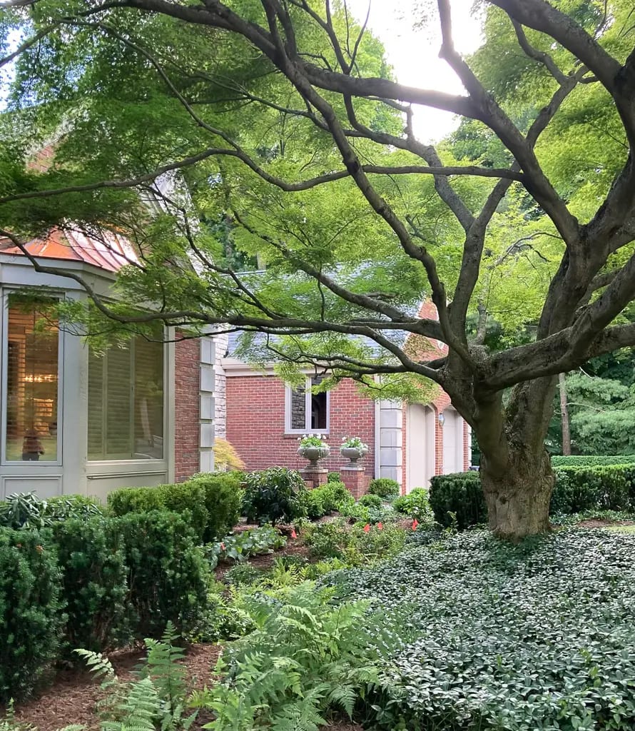 Landscape portfolio 69