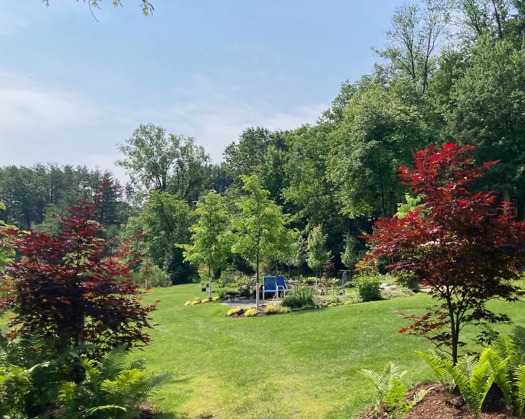 Landscape portfolio 70