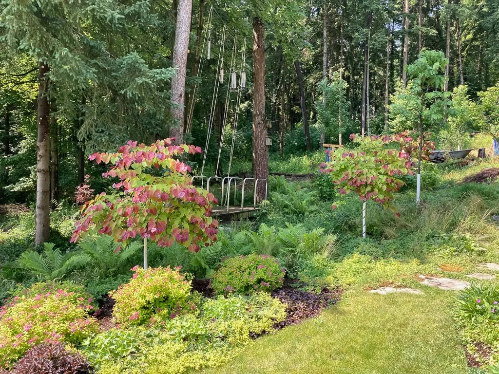 Landscape portfolio 71