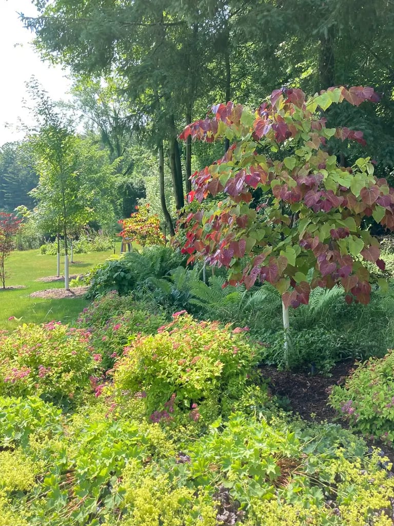 Landscape portfolio 72