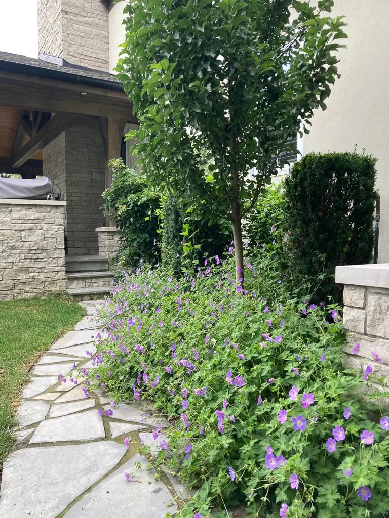 Landscape portfolio 73