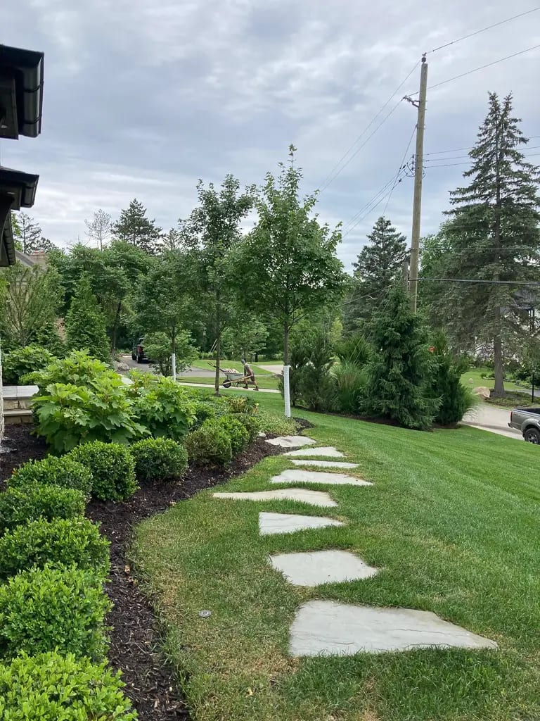 Landscape portfolio 74