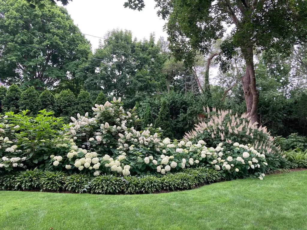 Landscape portfolio 76