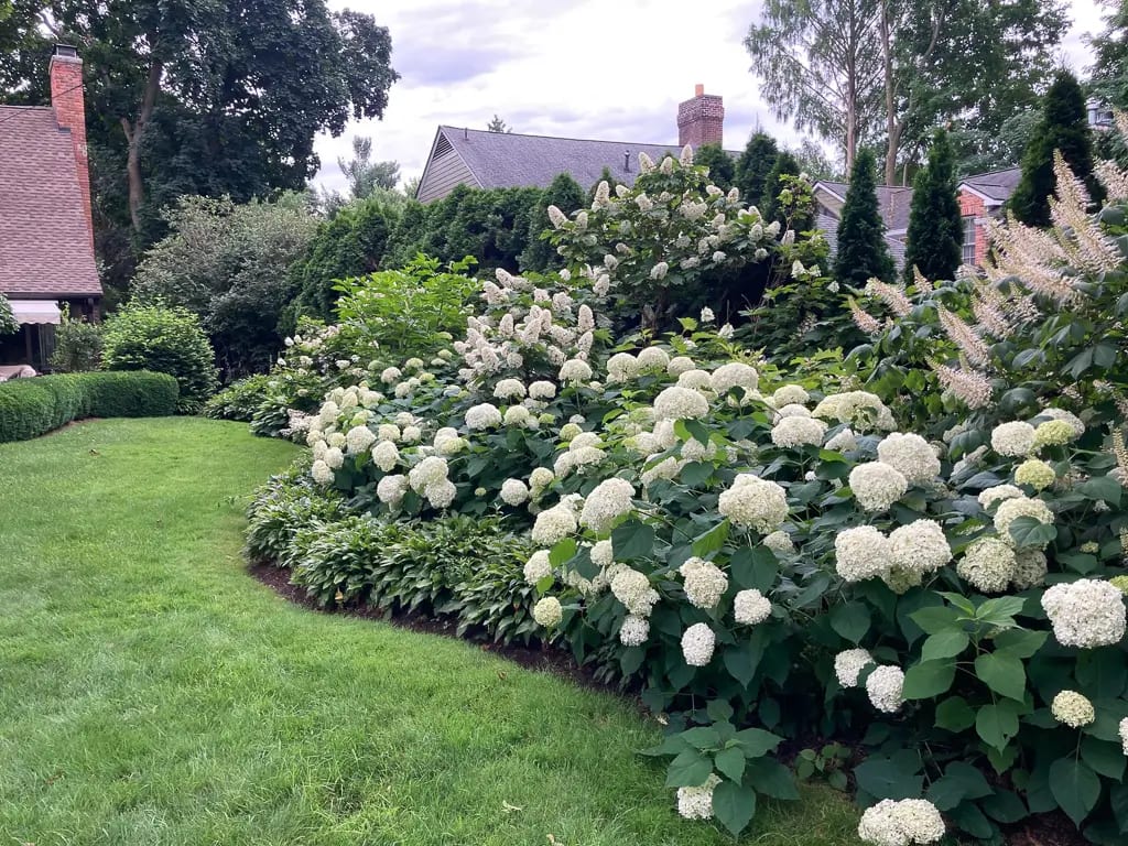 Landscape portfolio 77