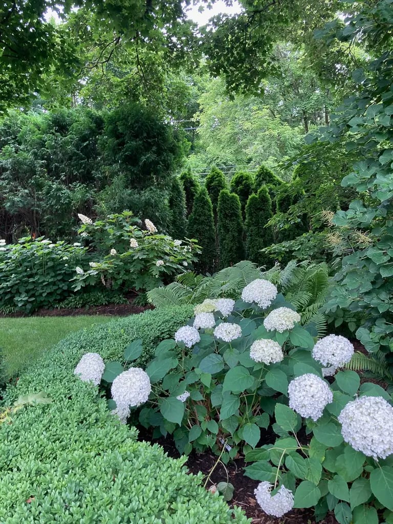 Landscape portfolio 79