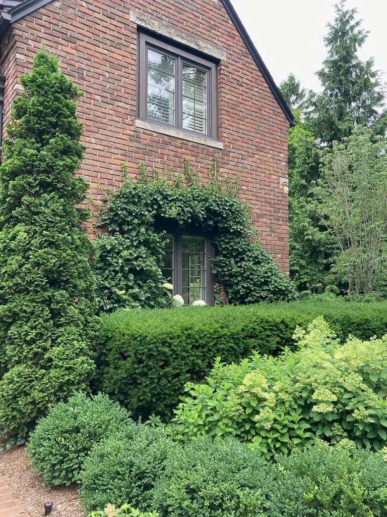 Landscape portfolio 81