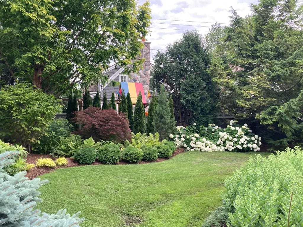 Landscape portfolio 82