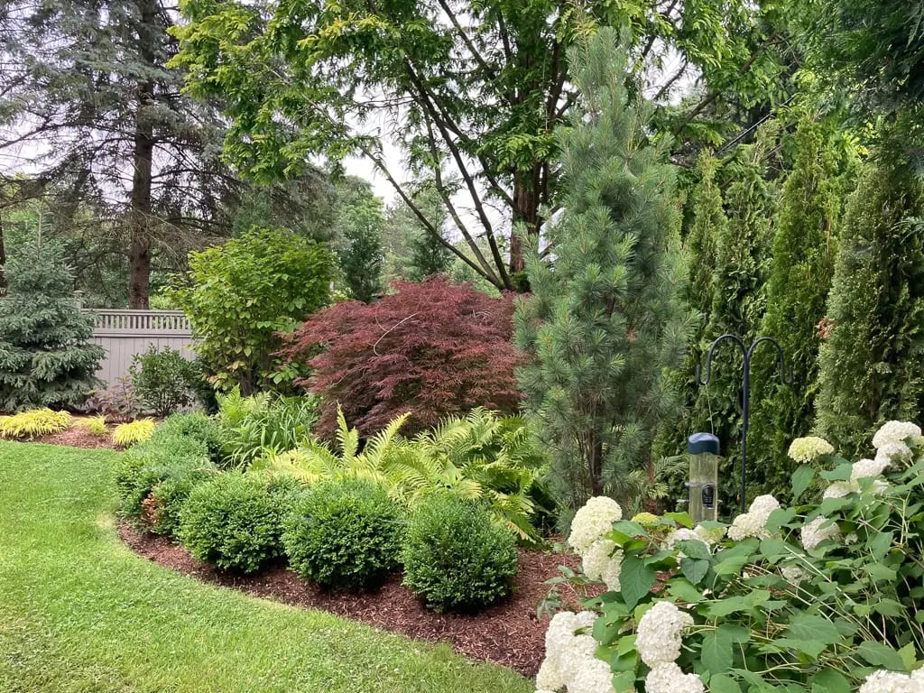 Landscape portfolio 83