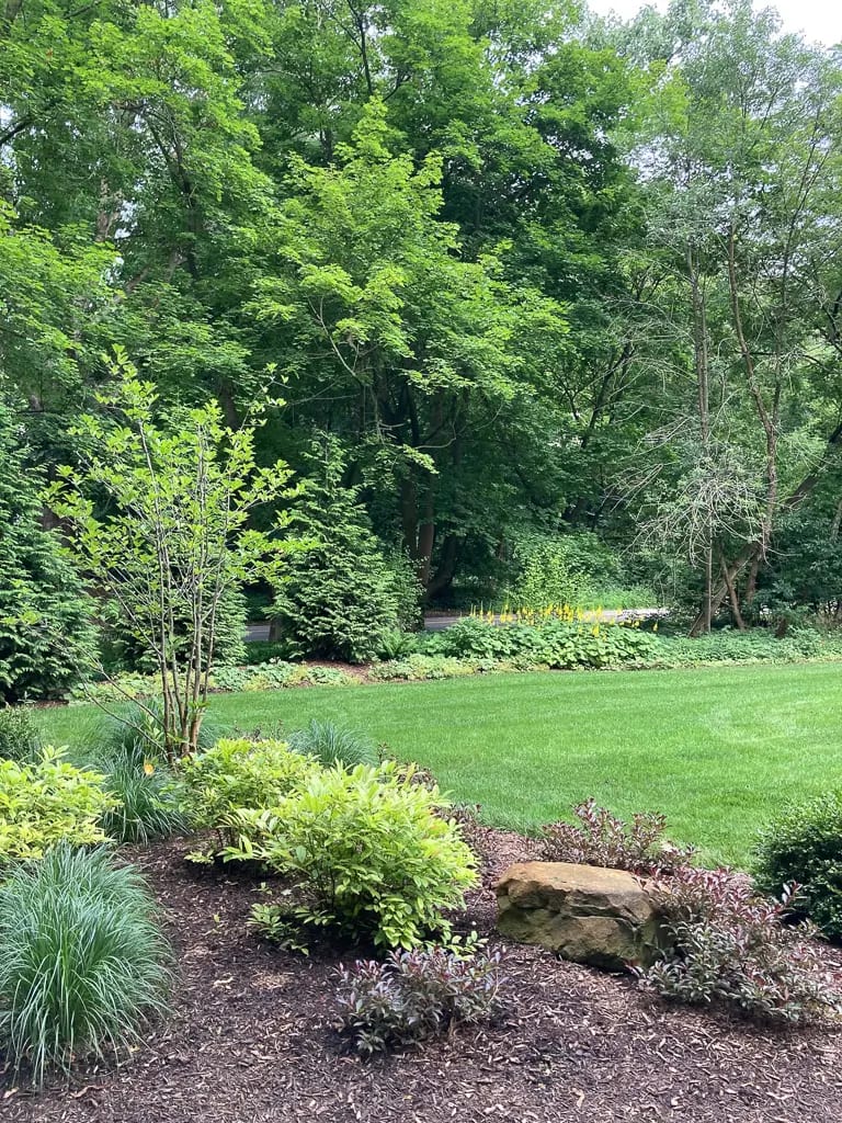 Landscape portfolio 85