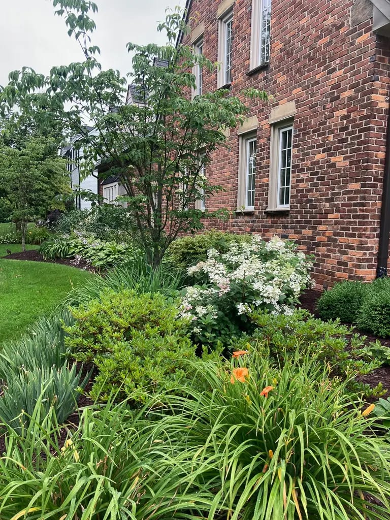 Landscape portfolio 87