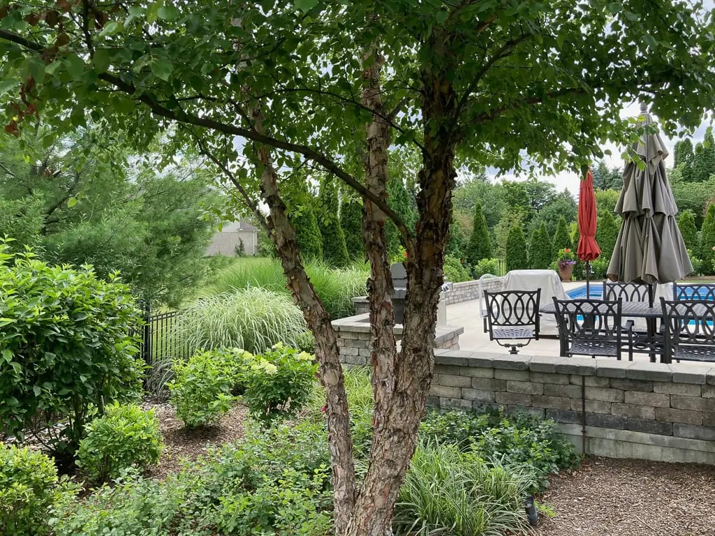 Landscape portfolio 92