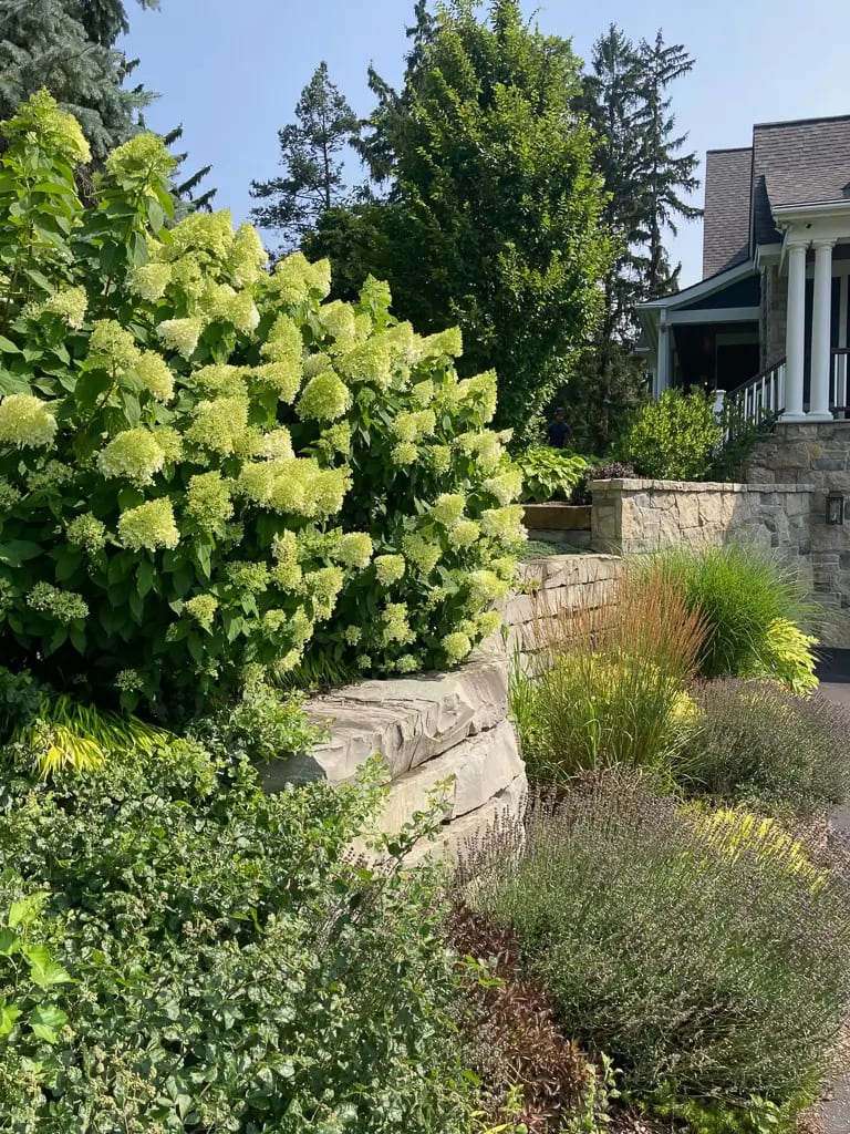 Landscape portfolio 94