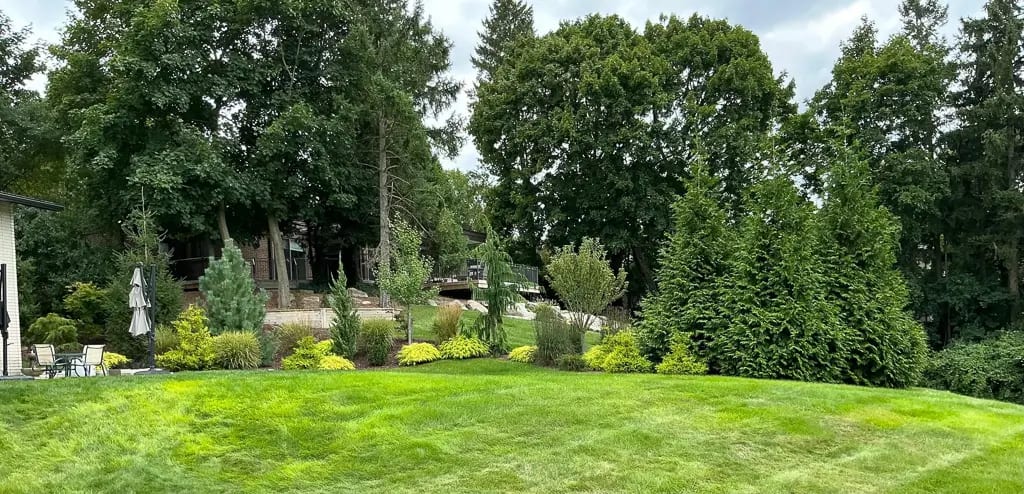 Landscape portfolio 95