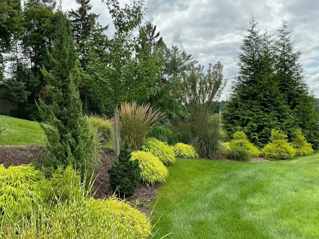 Landscape portfolio 96