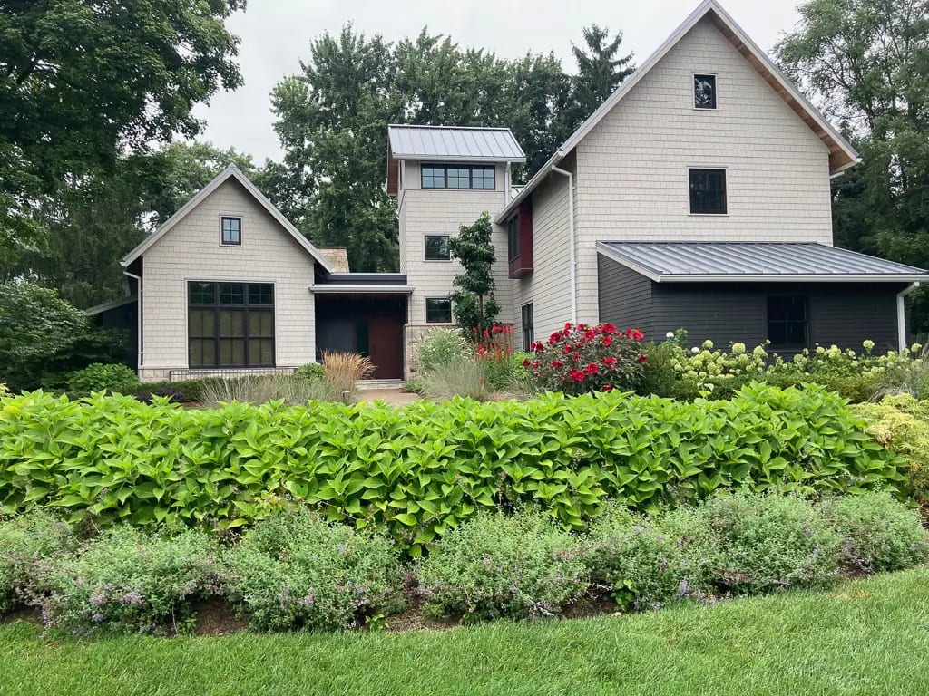 Landscape portfolio 97