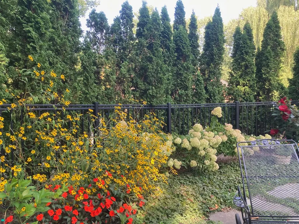 Landscape portfolio 98